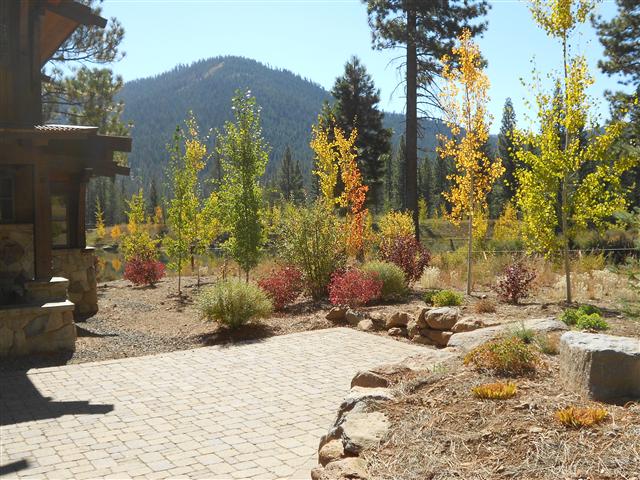 Paver patio beside young aspens in autumn gold, with a mountain ridge behind