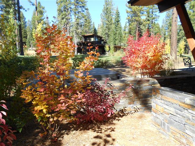 Autumn shrubs turning red and gold above a stacked stone retaining wall beside a walkway